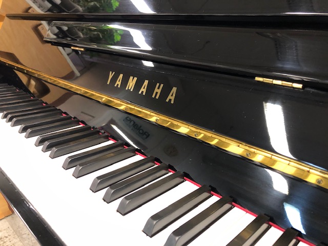 Yamaha C108 - Image 5
