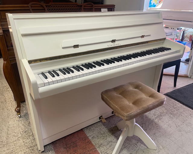 Schimmel 103