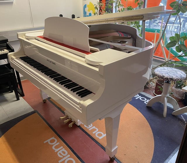 Hyundai G-80A (Samick) - Image 2
