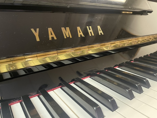 Yamaha P116 - Image 4