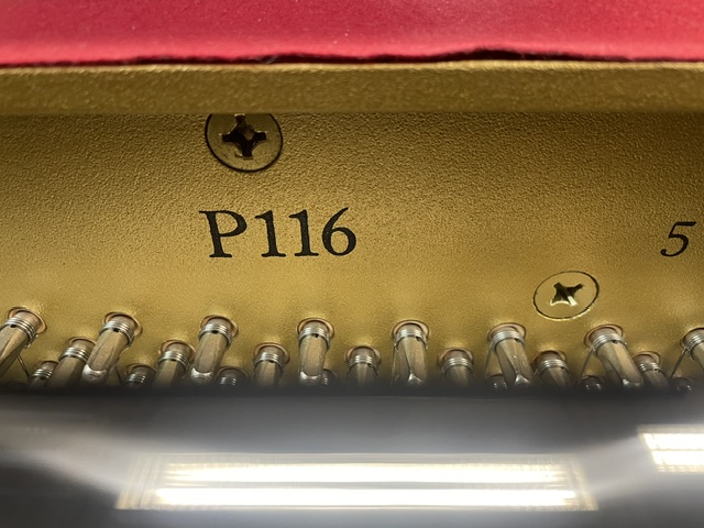 Yamaha P116 - Image 3