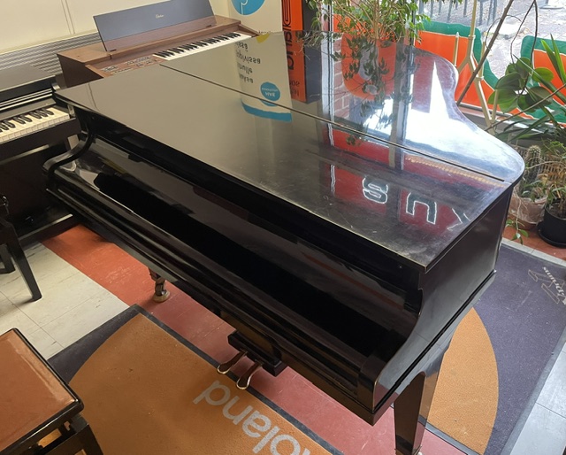 C.Bechstein - Image 2