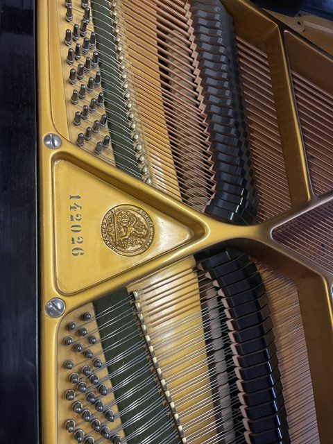 C.Bechstein - Image 5