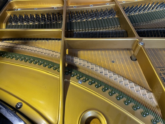 C.Bechstein - Image 7